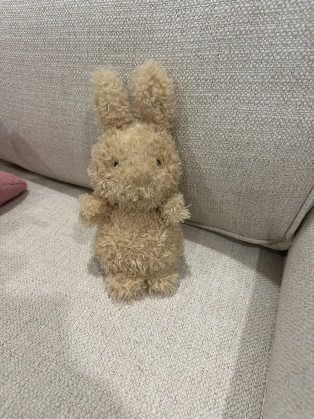 Jellycat Plush Bunny - Picture 1 of 3